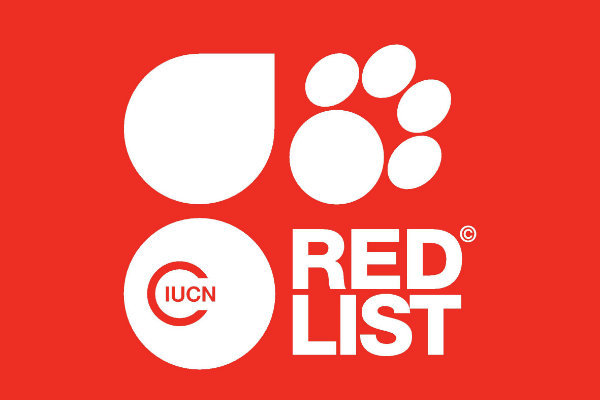 Das Bild zeigt das Logo der Roten Liste der IUCN (iucnredlist.org). Der Feldhamster wird in dieser Liste als vom Aussterben bedroht geführt.