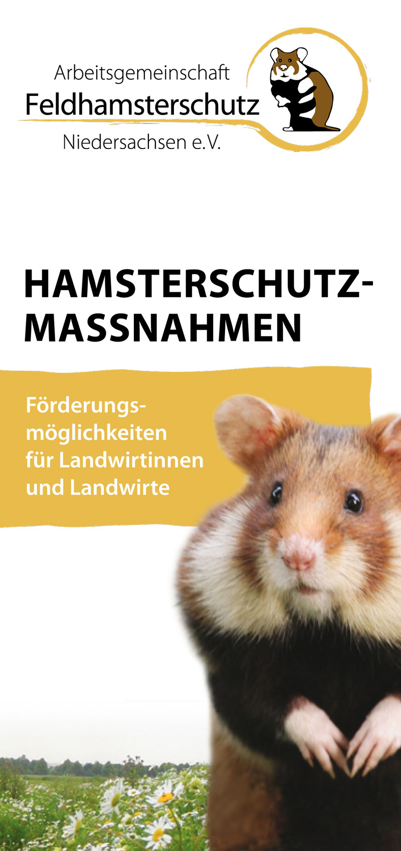 Titelbild des Faltblattes Hamsterschutzmaßnahmen