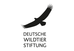 Logo Deutsche Wildtierstiftung